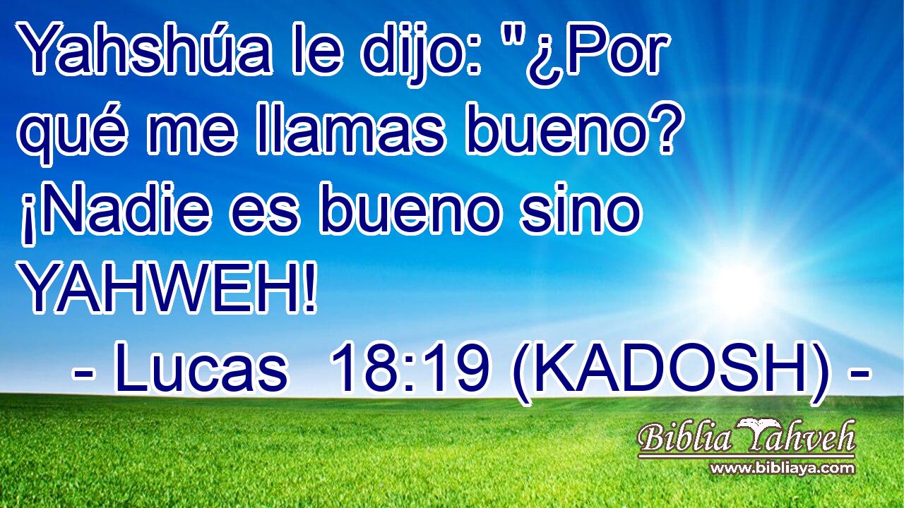  Yahshúa le dijo: 
