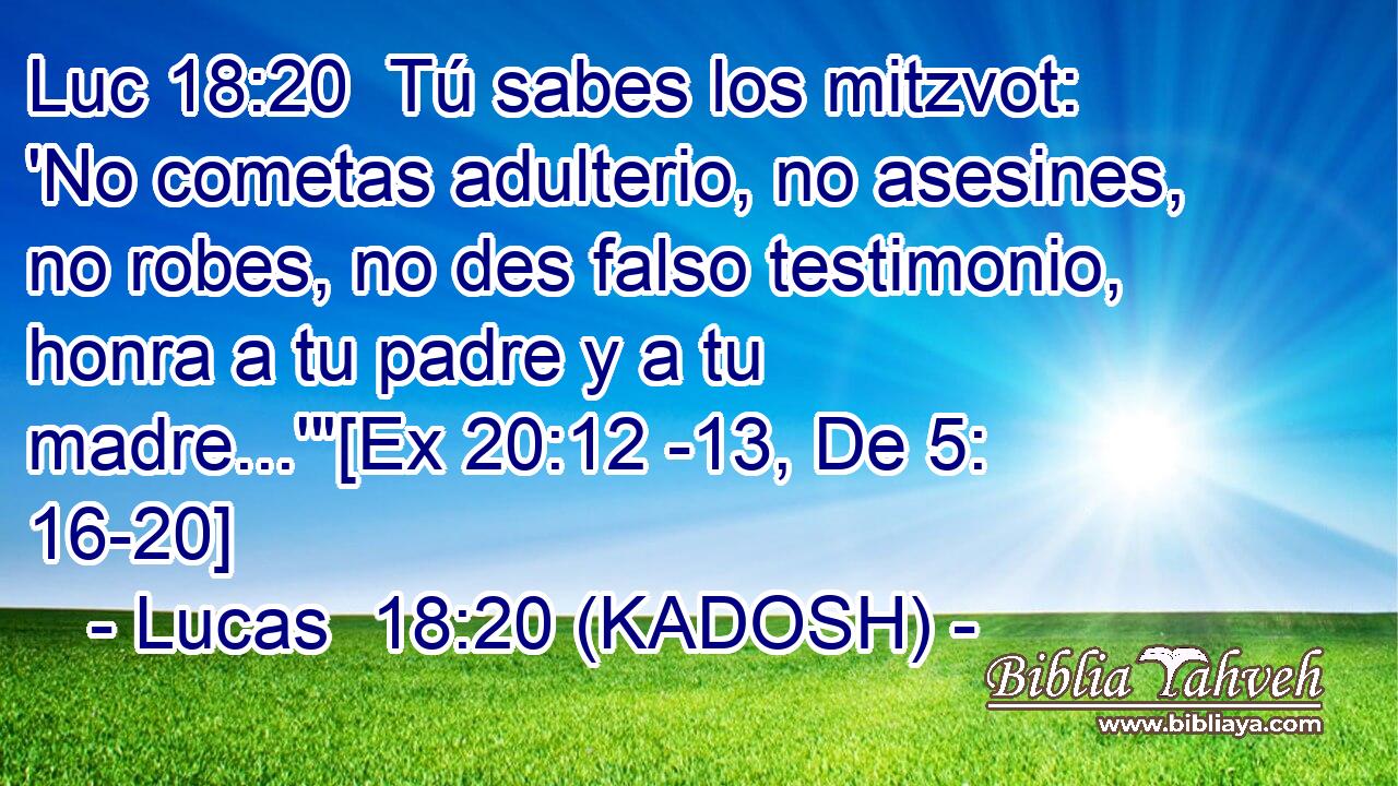  Tú sabes los mitzvot: 'No cometas adulterio, no asesines, no robes, no des falso testimonio, honra a tu padre y a tu madre...'