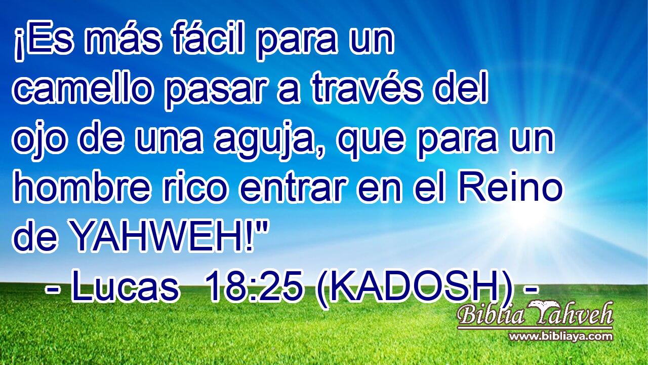  ¡Es más fácil para un camello pasar a través del ojo de una aguja, que para un hombre rico entrar en el Reino de YAHWEH!