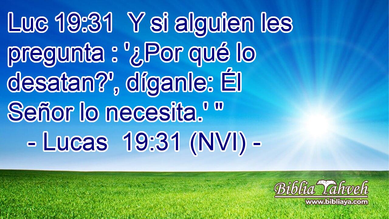 Luc 19:31  Y si alguien les pregunta : '¿Por qué lo desatan?', díganle: Él Señor lo necesita.' 
