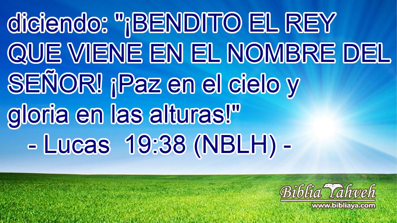  diciendo: 