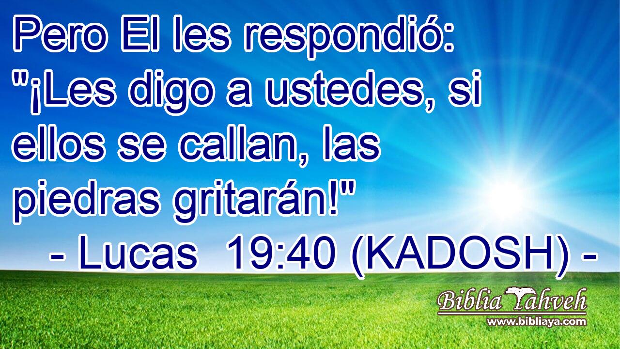  Pero El les respondió: 