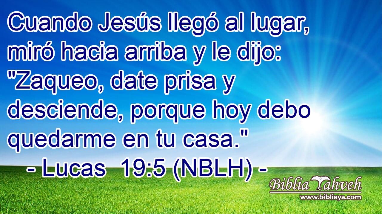  Cuando Jesús llegó al lugar, miró hacia arriba y le dijo: 