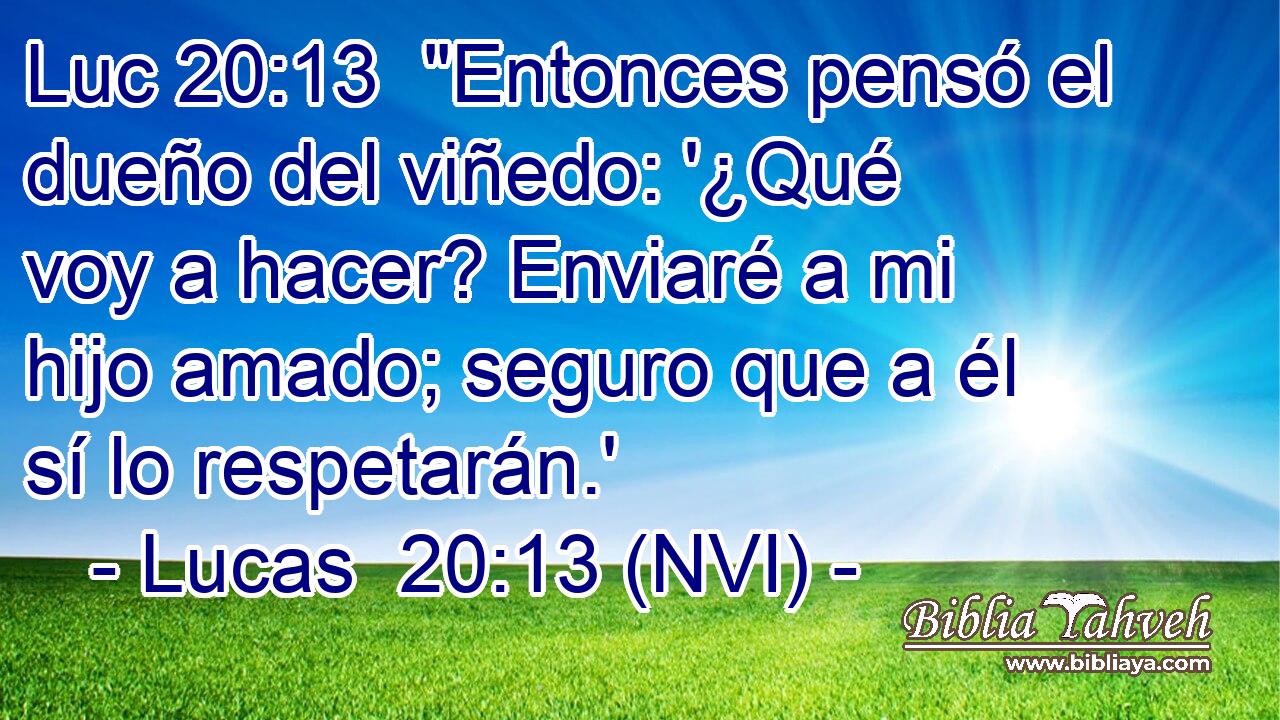 Luc 20:13  