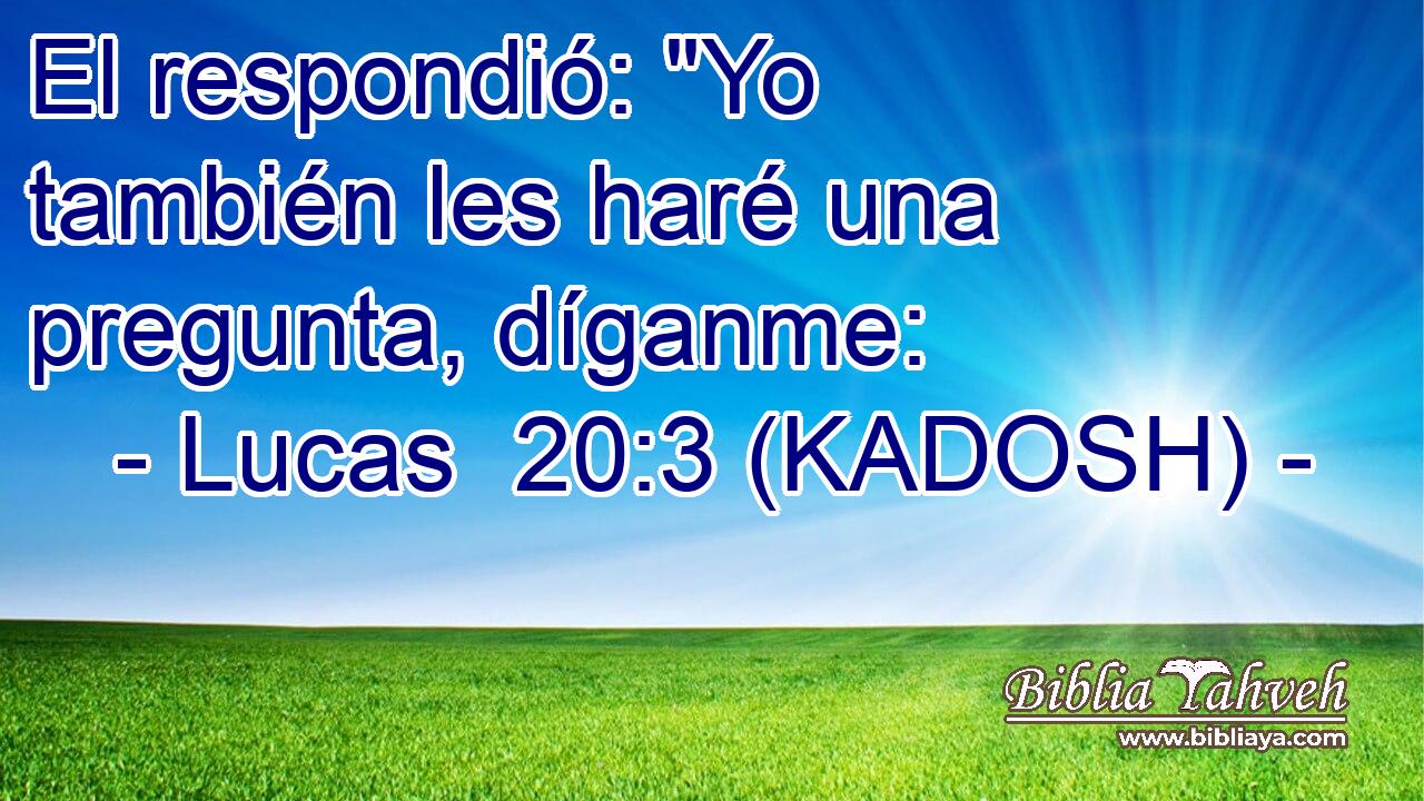  El respondió: 