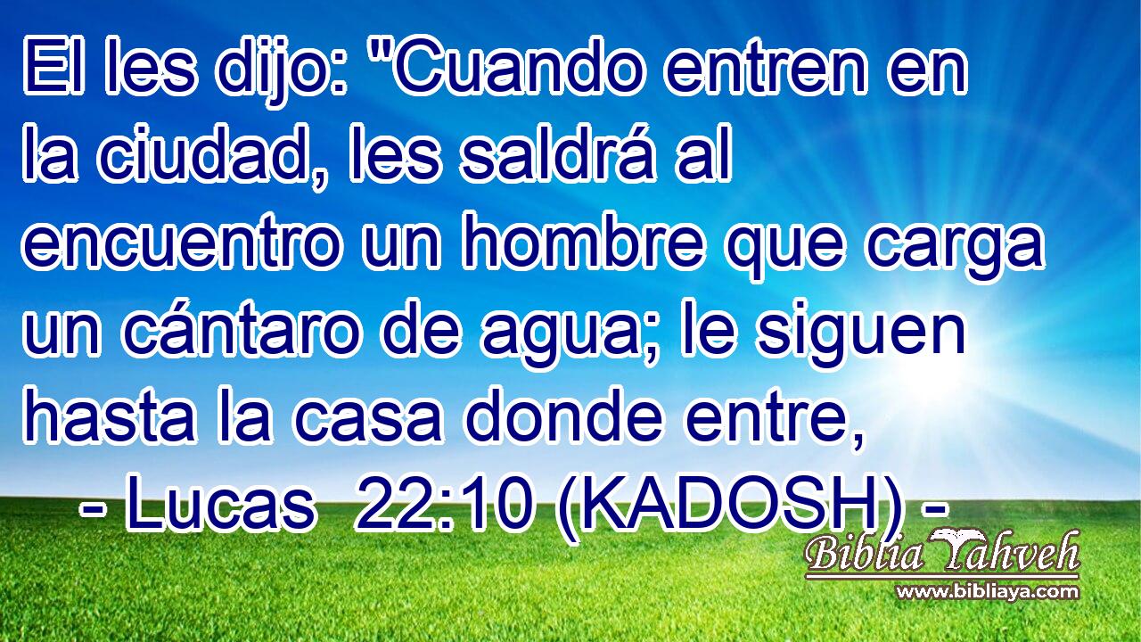  El les dijo: 