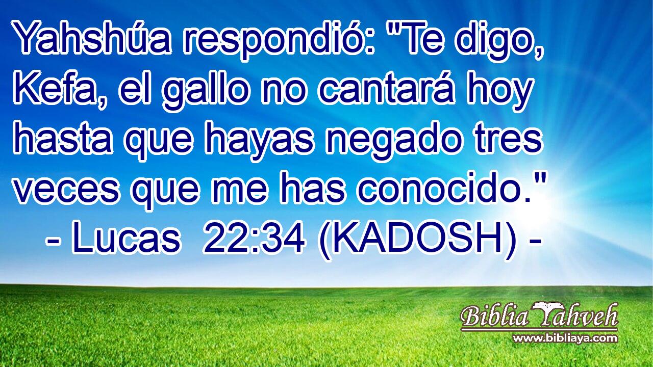  Yahshúa respondió: 