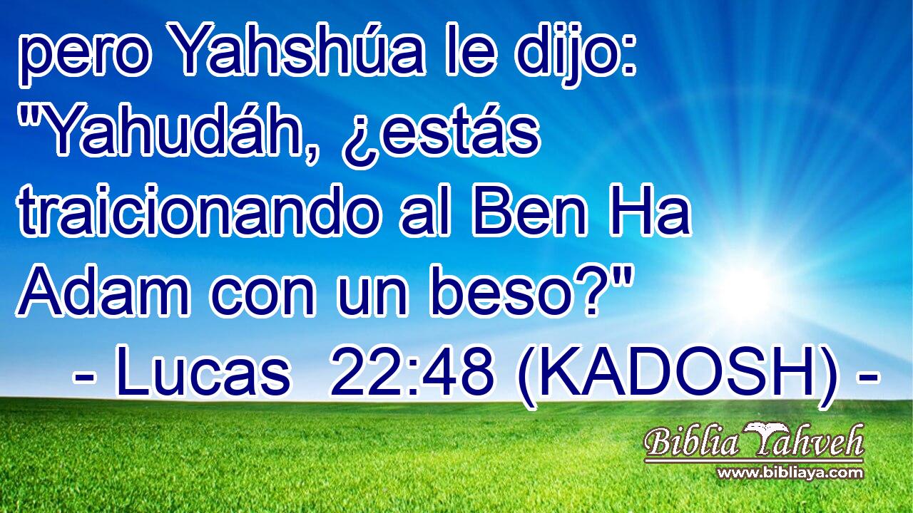  pero Yahshúa le dijo: 