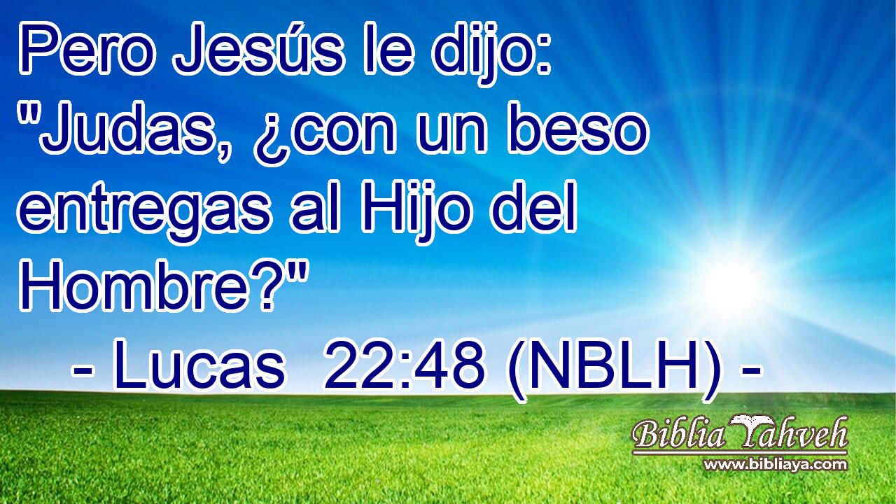  Pero Jesús le dijo: 