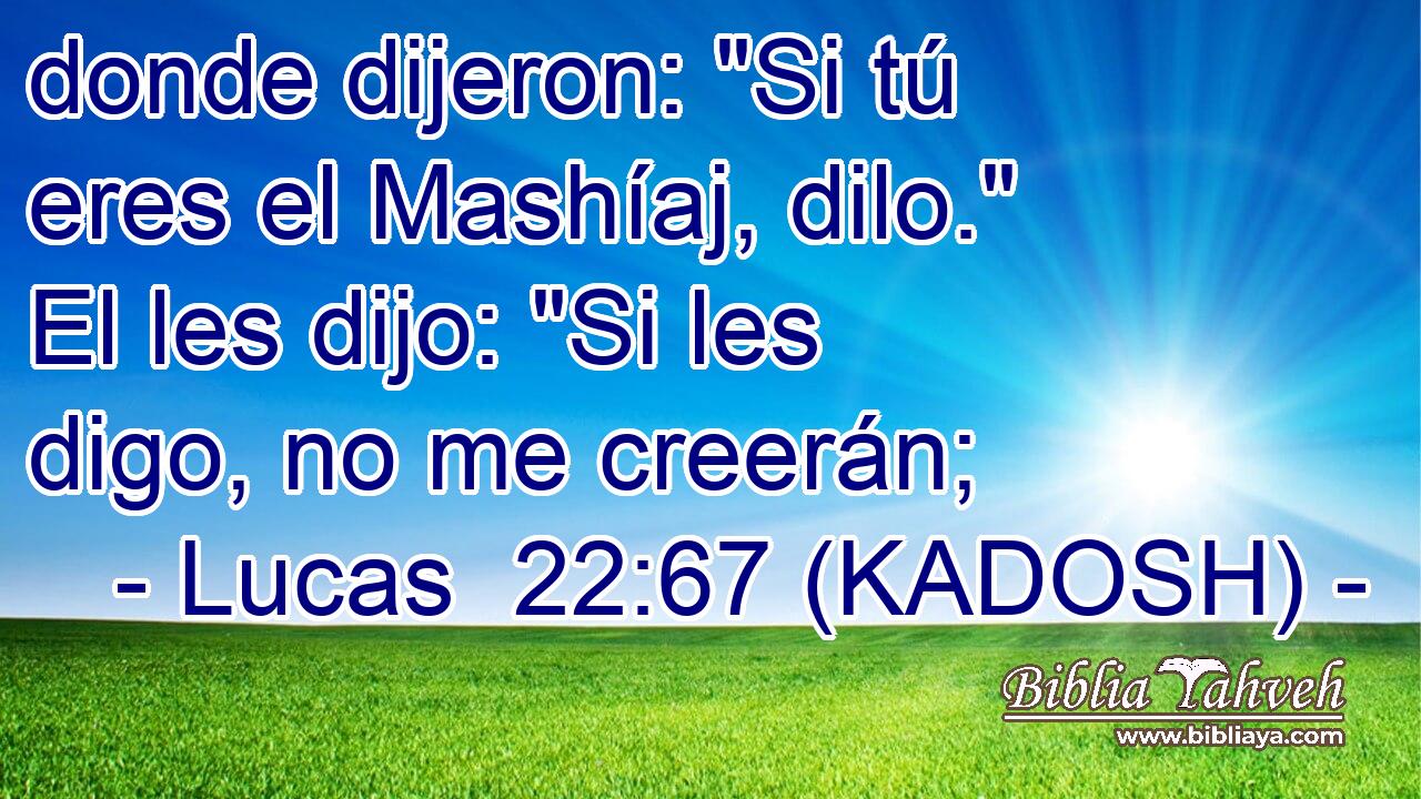  donde dijeron: 