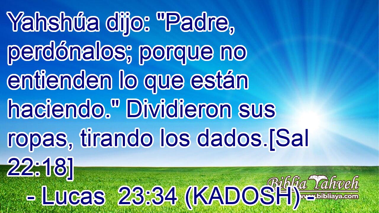  Yahshúa dijo: 