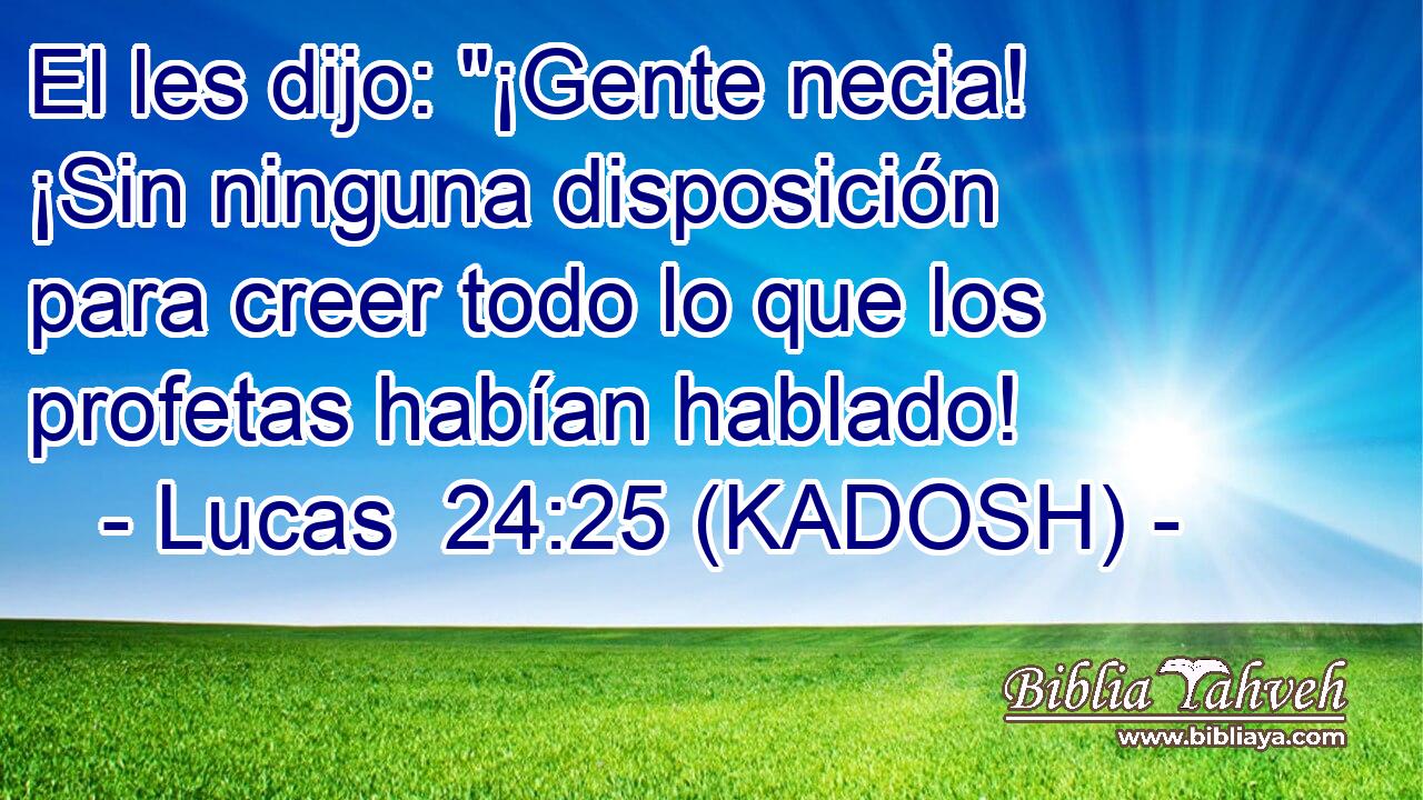  El les dijo: 