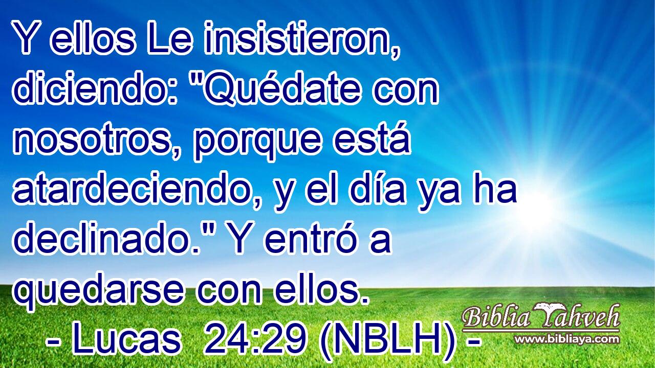  Y ellos Le insistieron, diciendo: 
