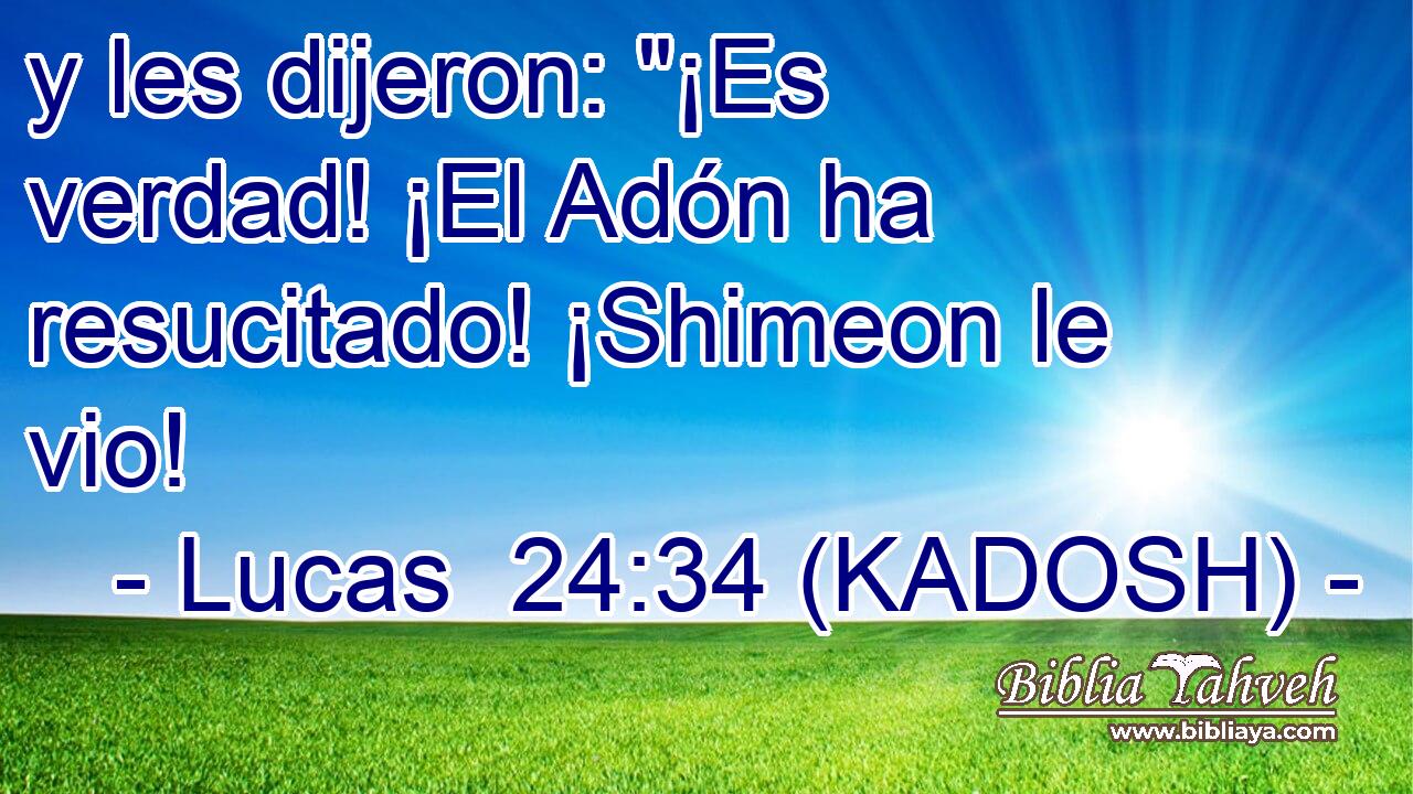  y les dijeron: 