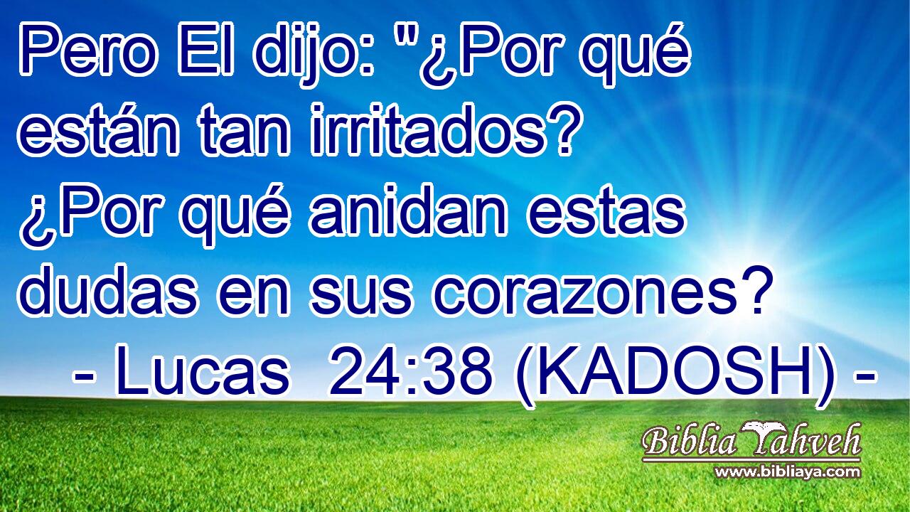 Pero El dijo: 