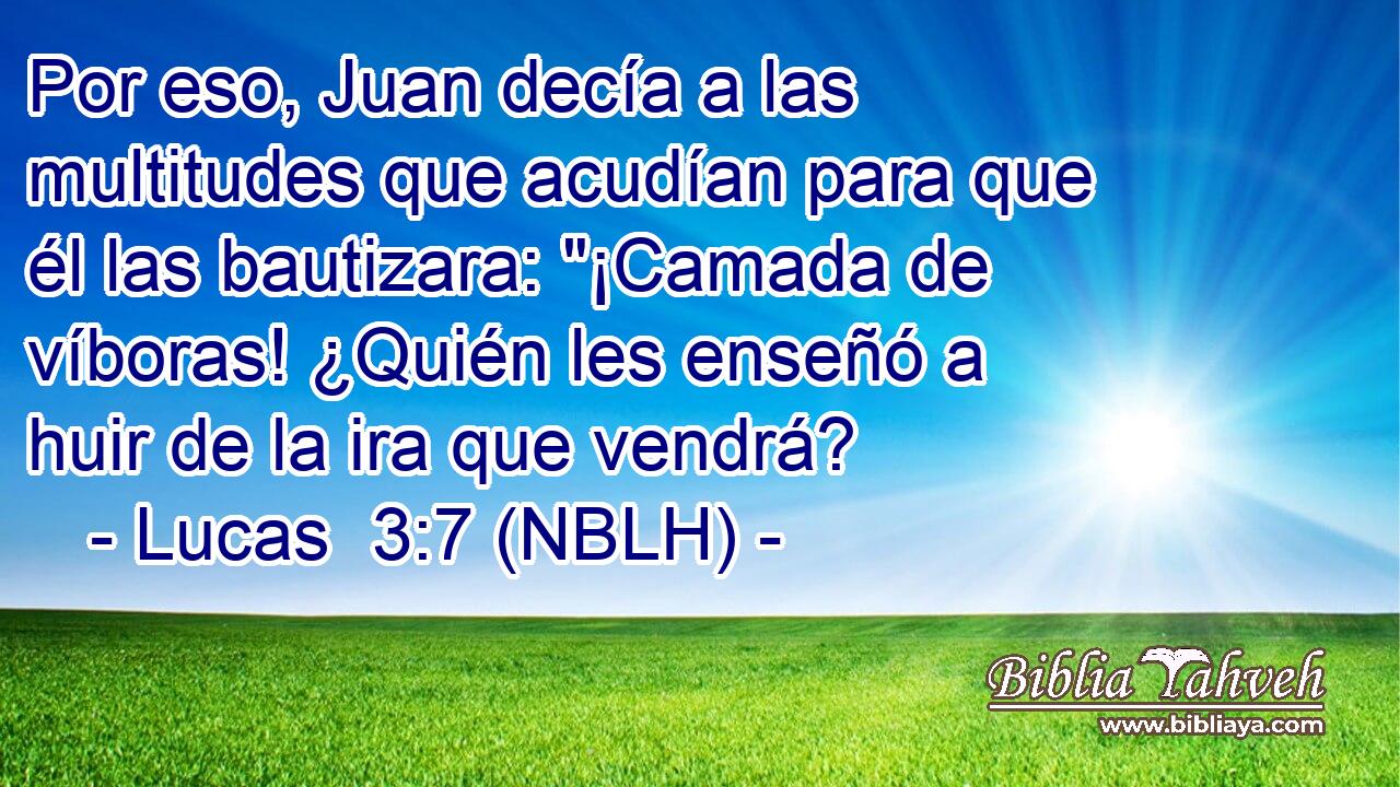  Por eso, Juan decía a las multitudes que acudían para que él las bautizara: 