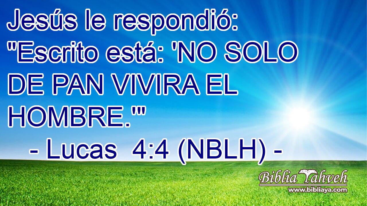  Jesús le respondió: 