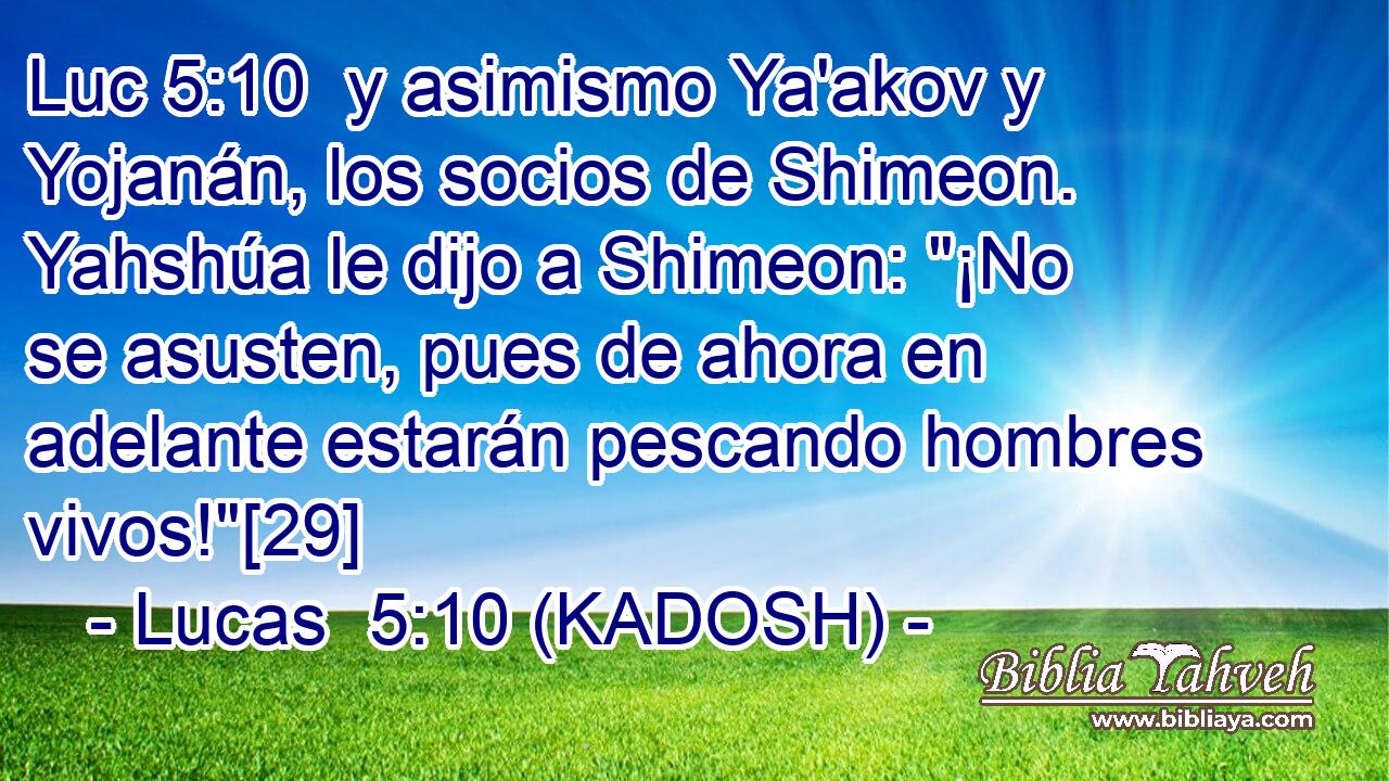  y asimismo Ya'akov y Yojanán, los socios de Shimeon. Yahshúa le dijo a Shimeon: 