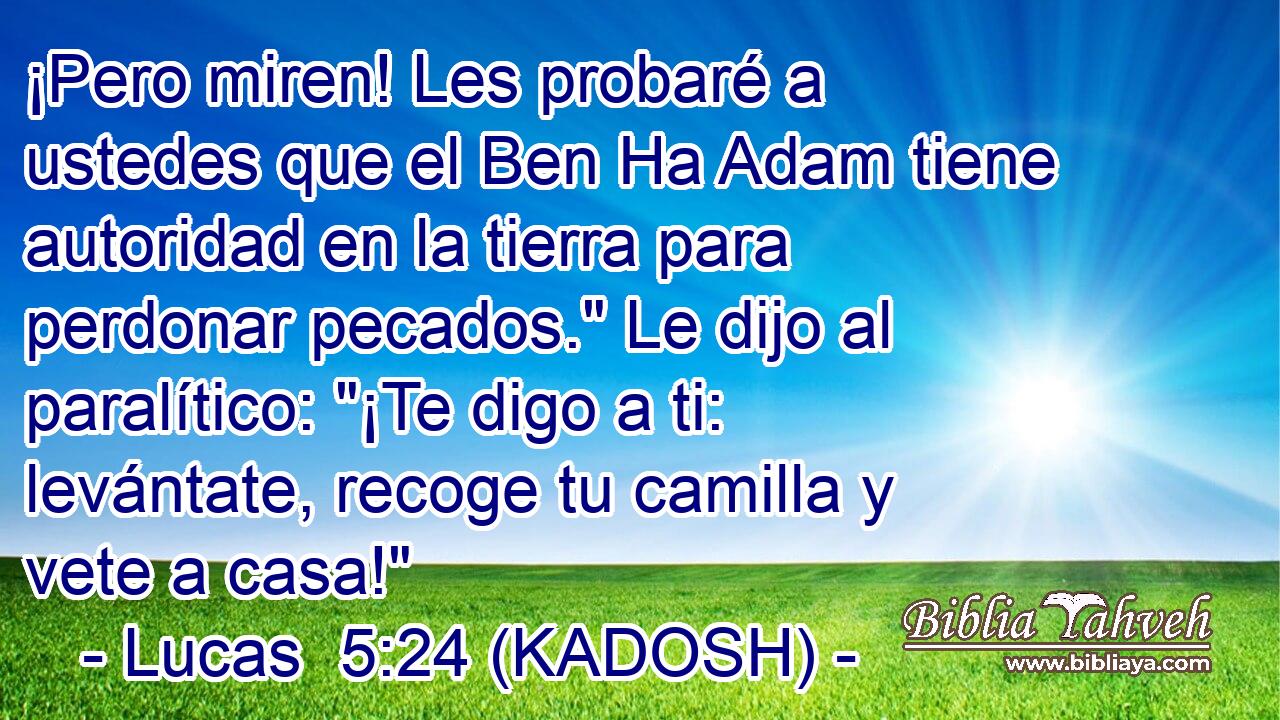  ¡Pero miren! Les probaré a ustedes que el Ben Ha Adam tiene autoridad en la tierra para perdonar pecados.