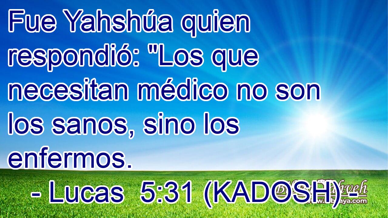  Fue Yahshúa quien respondió: 