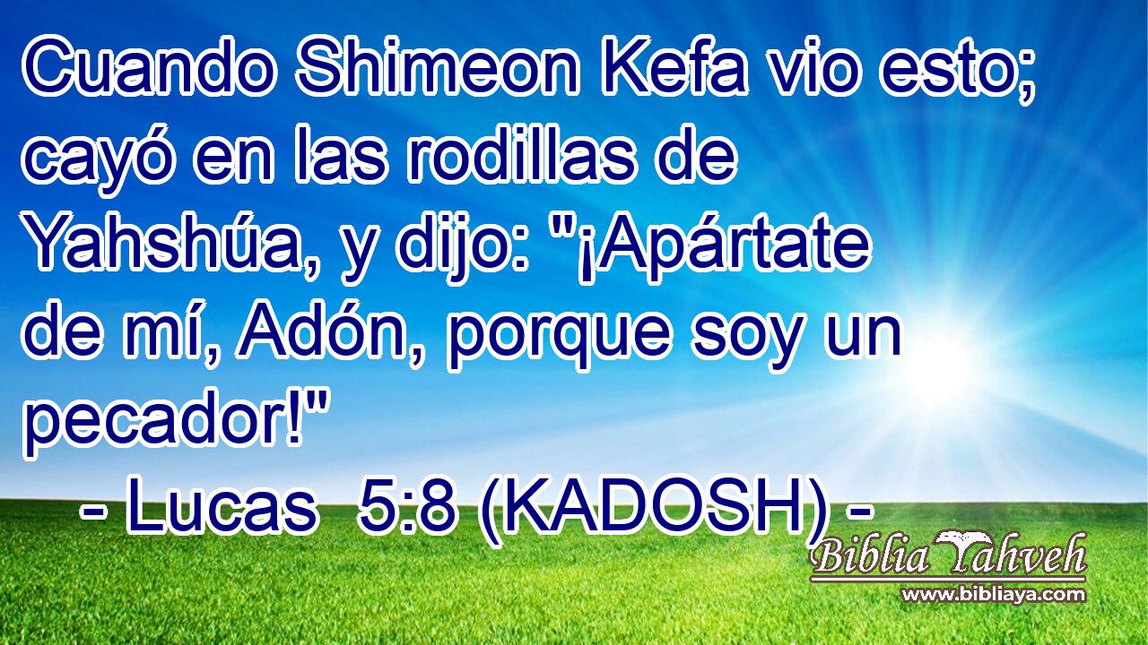  Cuando Shimeon Kefa vio esto; cayó en las rodillas de Yahshúa, y dijo: 
