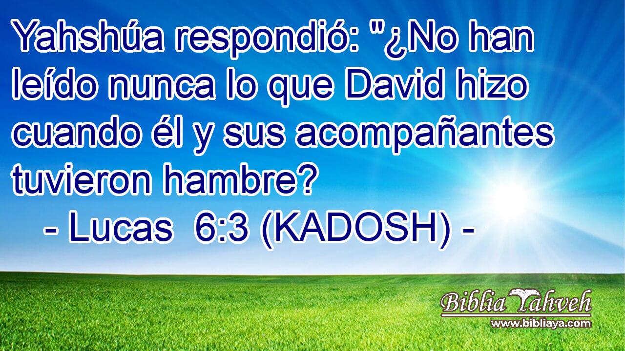  Yahshúa respondió: 