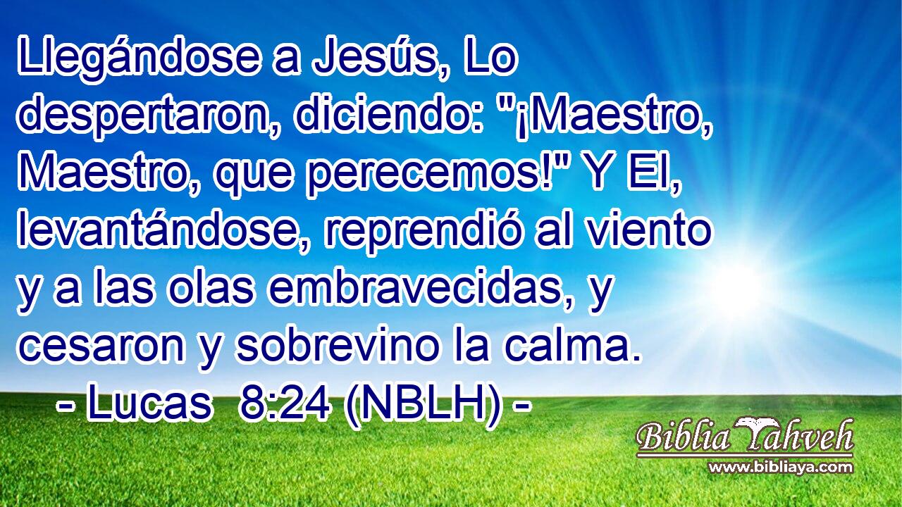  Llegándose a Jesús, Lo despertaron, diciendo: 