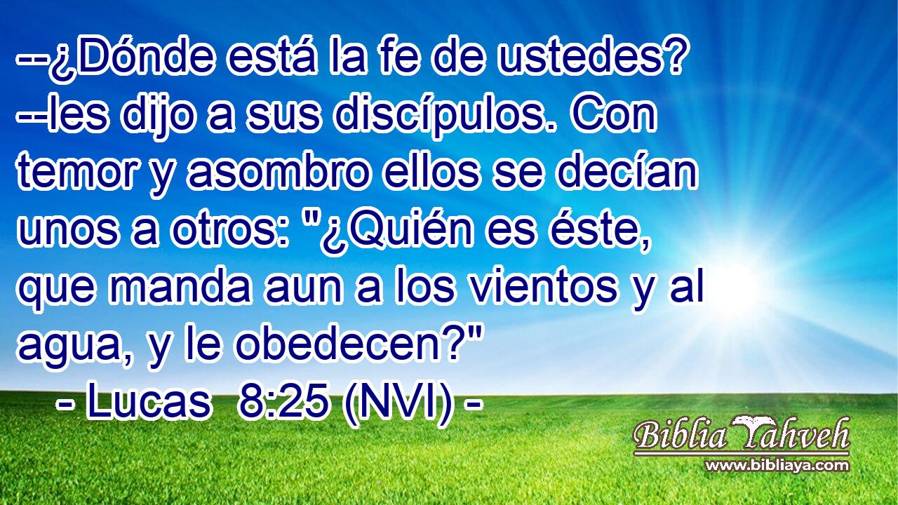  --¿Dónde está la fe de ustedes? --les dijo a sus discípulos. Con temor y asombro ellos se decían unos a otros: 
