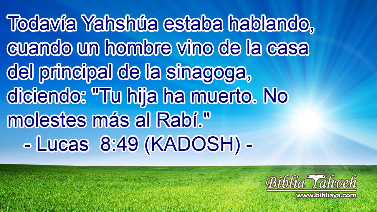  Todavía Yahshúa estaba hablando, cuando un hombre vino de la casa del principal de la sinagoga, diciendo: 