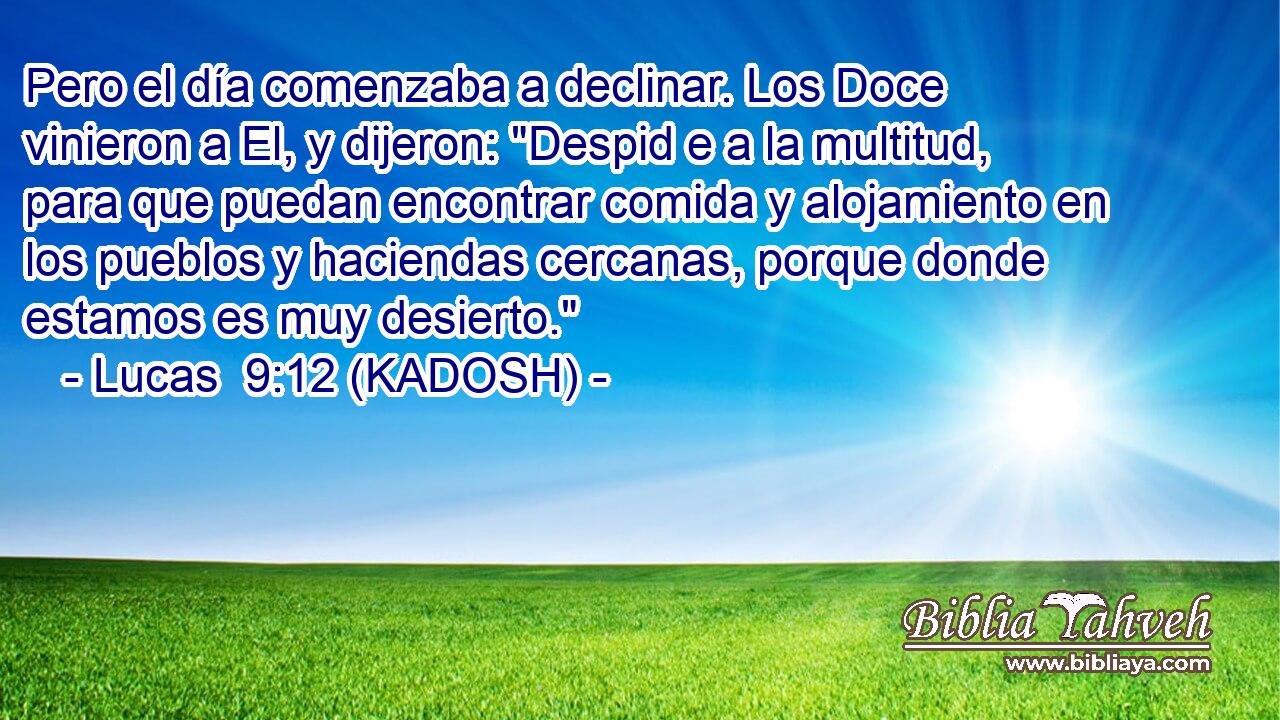  Pero el día comenzaba a declinar. Los Doce vinieron a El, y dijeron: 