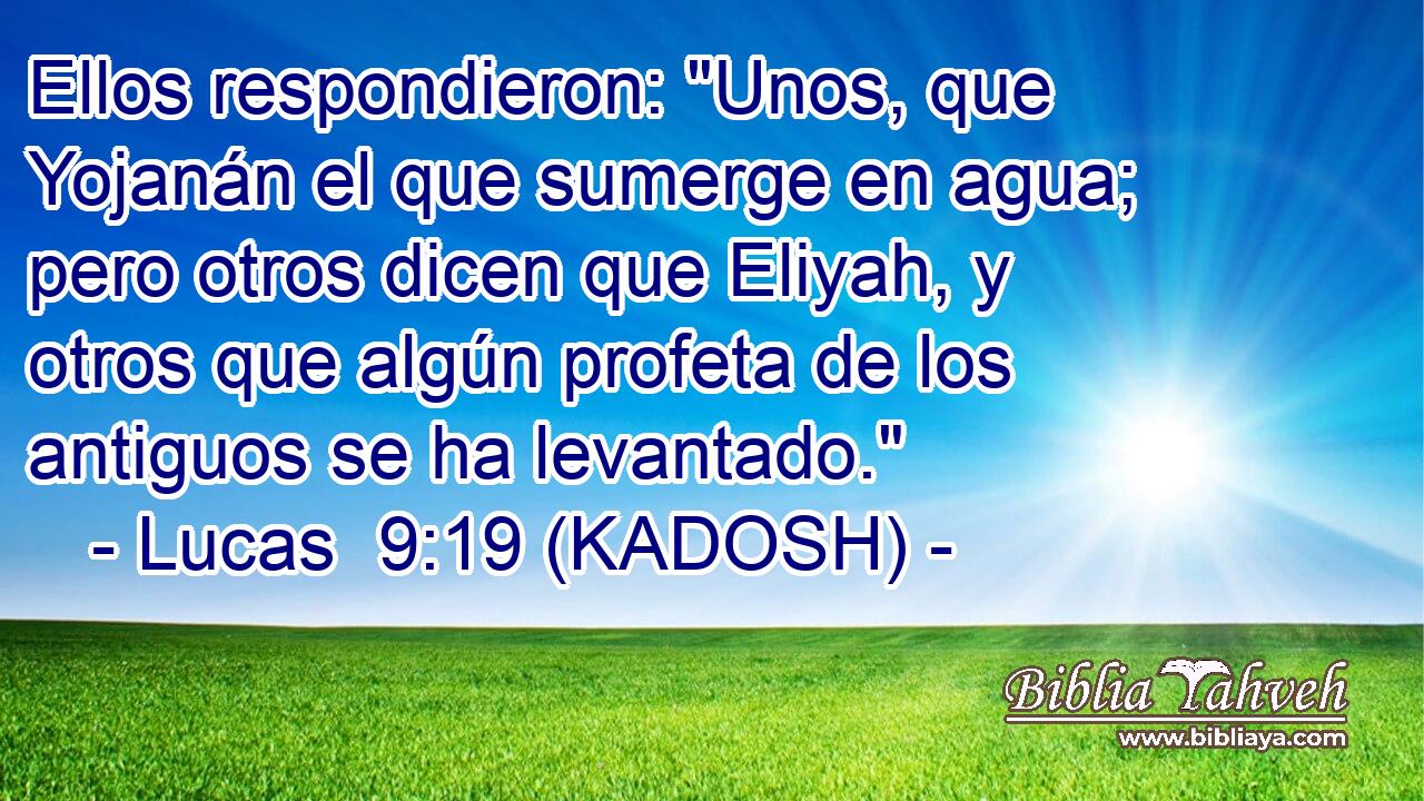  Ellos respondieron: 