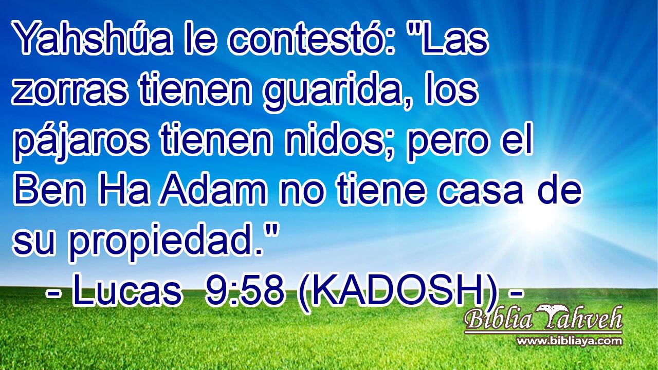  Yahshúa le contestó: 