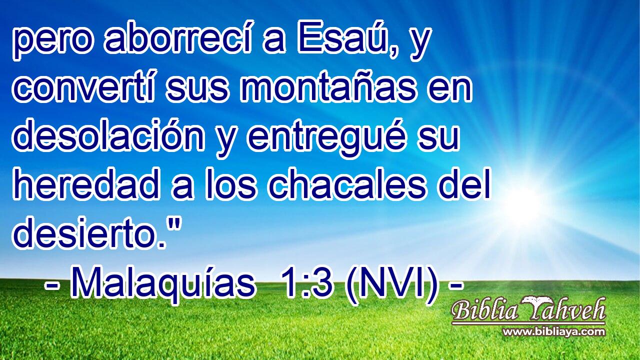  pero aborrecí a Esaú, y convertí sus montañas en desolación y entregué su heredad a los chacales del desierto.