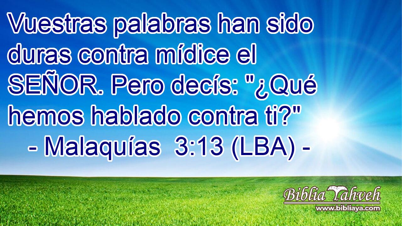 Vuestras palabras han sido duras contra mídice el SEÑOR. Pero decís: 