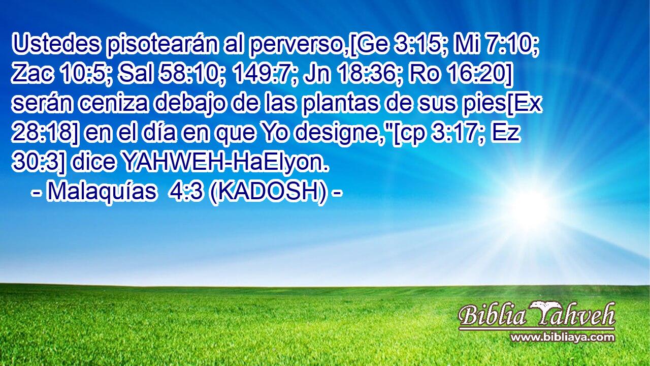  Ustedes pisotearán al perverso,[Ge 3:15; Mi 7:10; Zac 10:5; Sal 58:10; 149:7; Jn 18:36; Ro 16:20] serán ceniza debajo de las plantas de sus pies[Ex 28:18] en el día en que Yo designe,