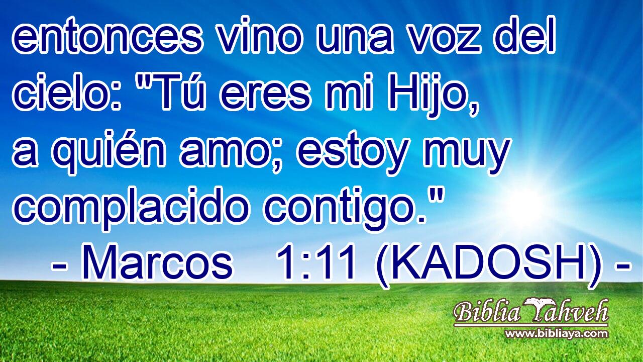  entonces vino una voz del cielo: 