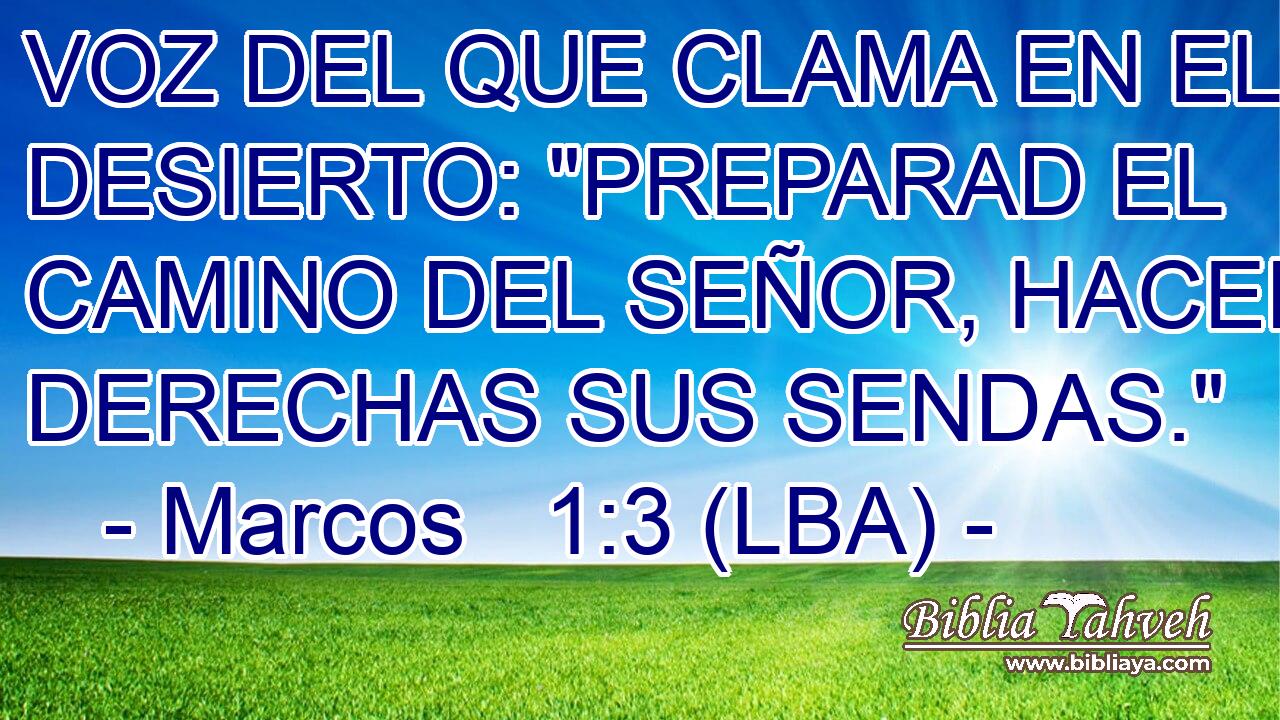 VOZ DEL QUE CLAMA EN EL DESIERTO: 