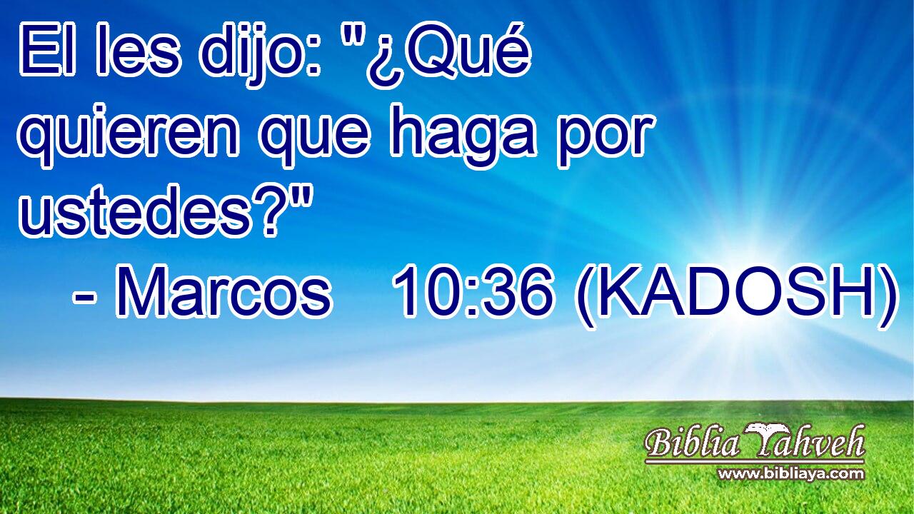  El les dijo: 