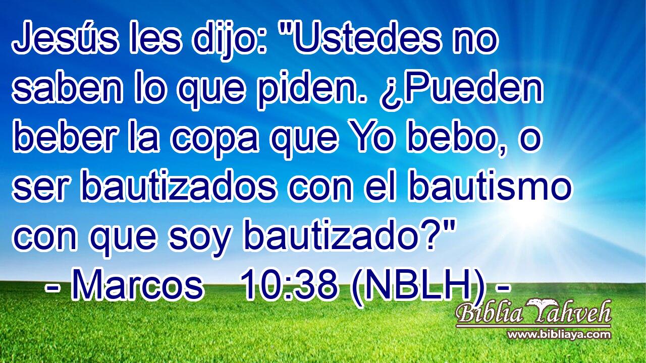  Jesús les dijo: 