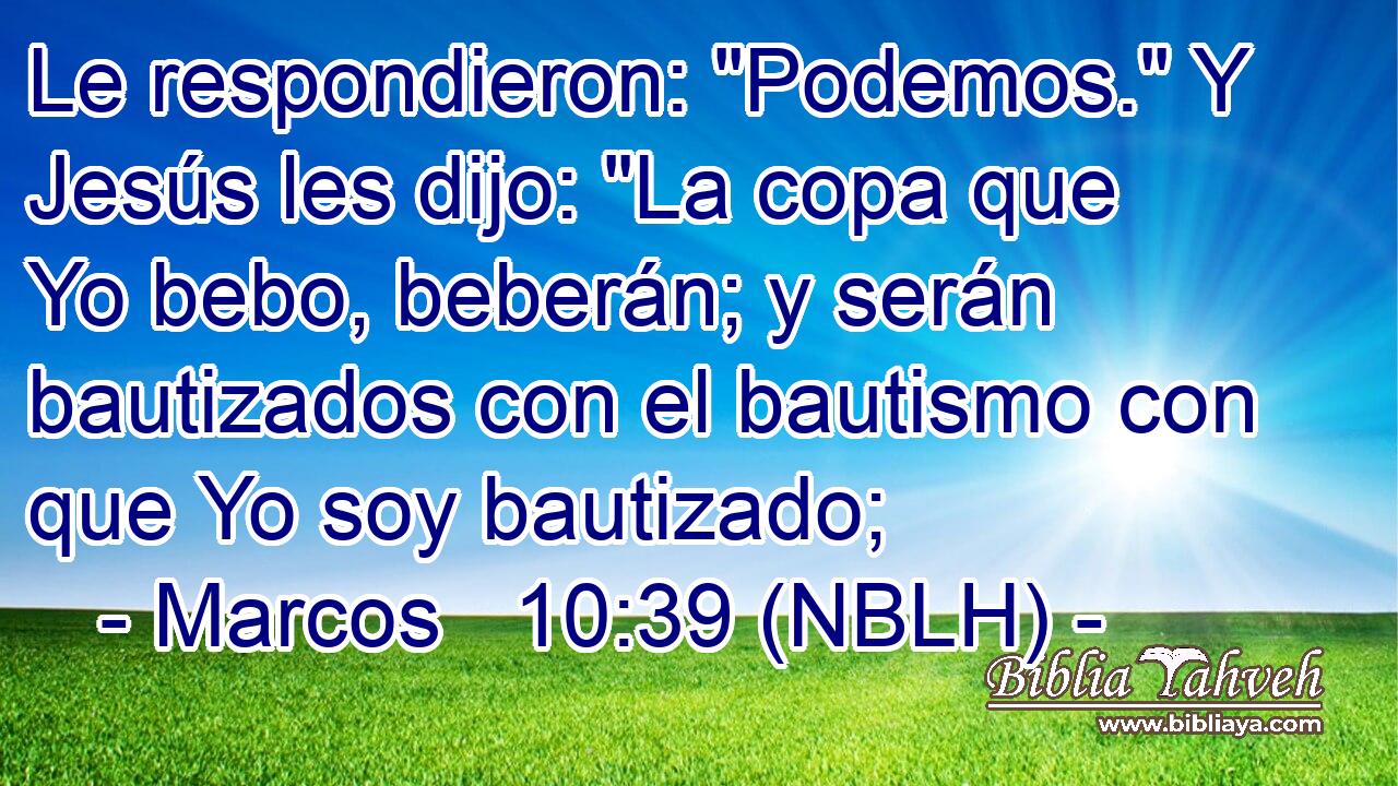  Le respondieron: 