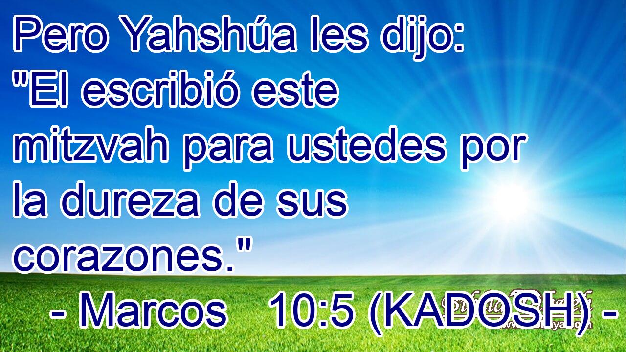  Pero Yahshúa les dijo: 