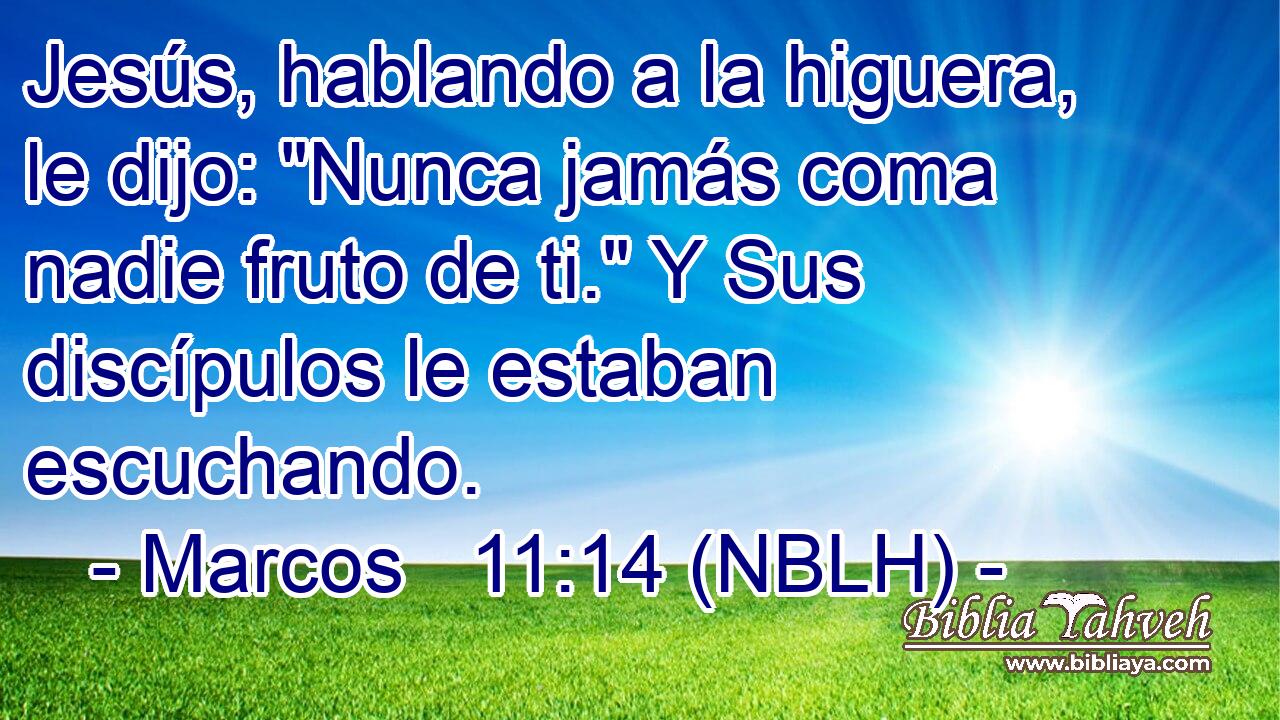  Jesús, hablando a la higuera, le dijo: 