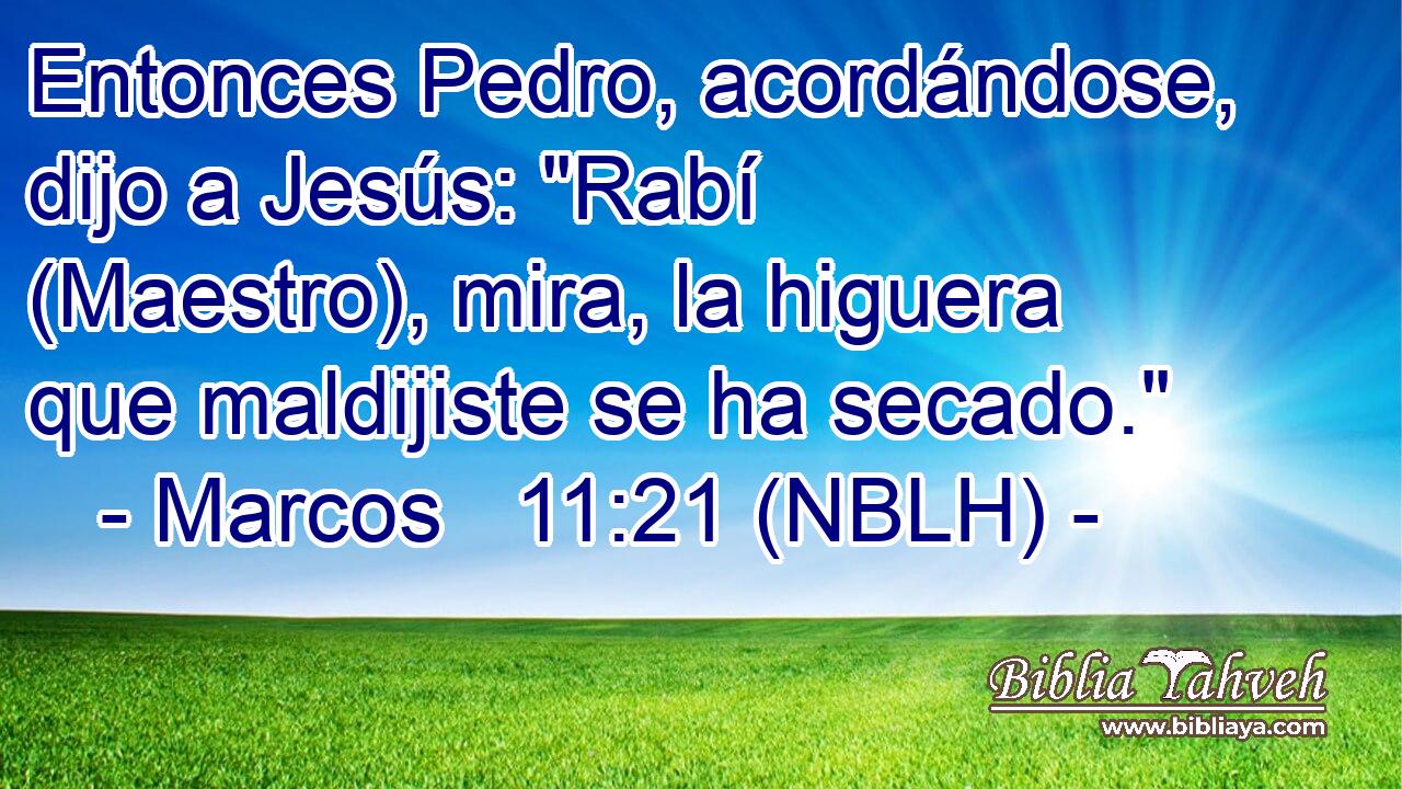  Entonces Pedro, acordándose, dijo a Jesús: 