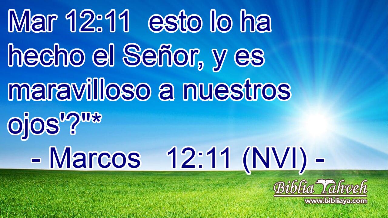 Mar 12:11  esto lo ha hecho el Señor, y es maravilloso a nuestros ojos'?