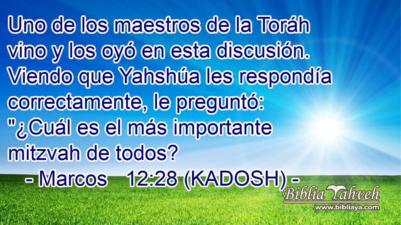  Uno de los maestros de la Toráh vino y los oyó en esta discusión. Viendo que Yahshúa les respondía correctamente, le preguntó: 