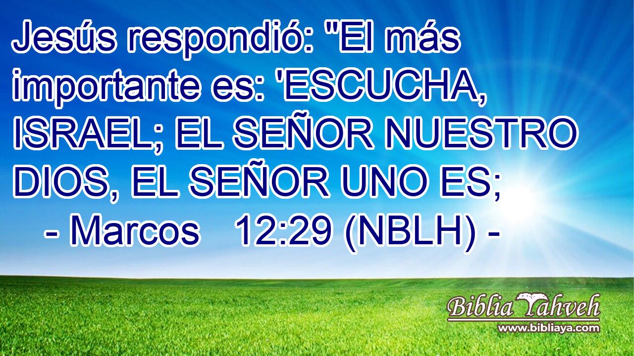  Jesús respondió: 