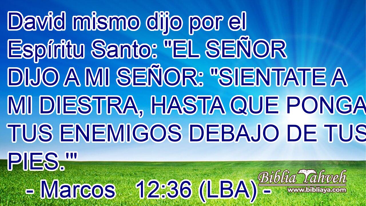 David mismo dijo por el Espíritu Santo: 