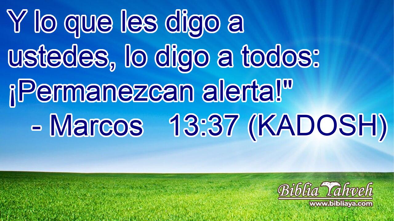  Y lo que les digo a ustedes, lo digo a todos: ¡Permanezcan alerta!