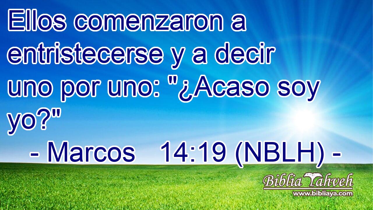  Ellos comenzaron a entristecerse y a decir uno por uno: 