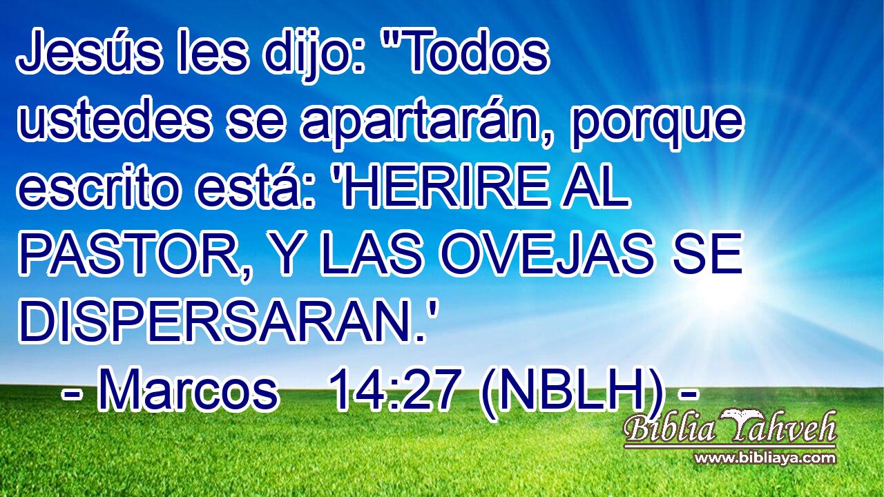  Jesús les dijo: 